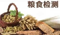 糧食檢測(cè)儀器有哪些？